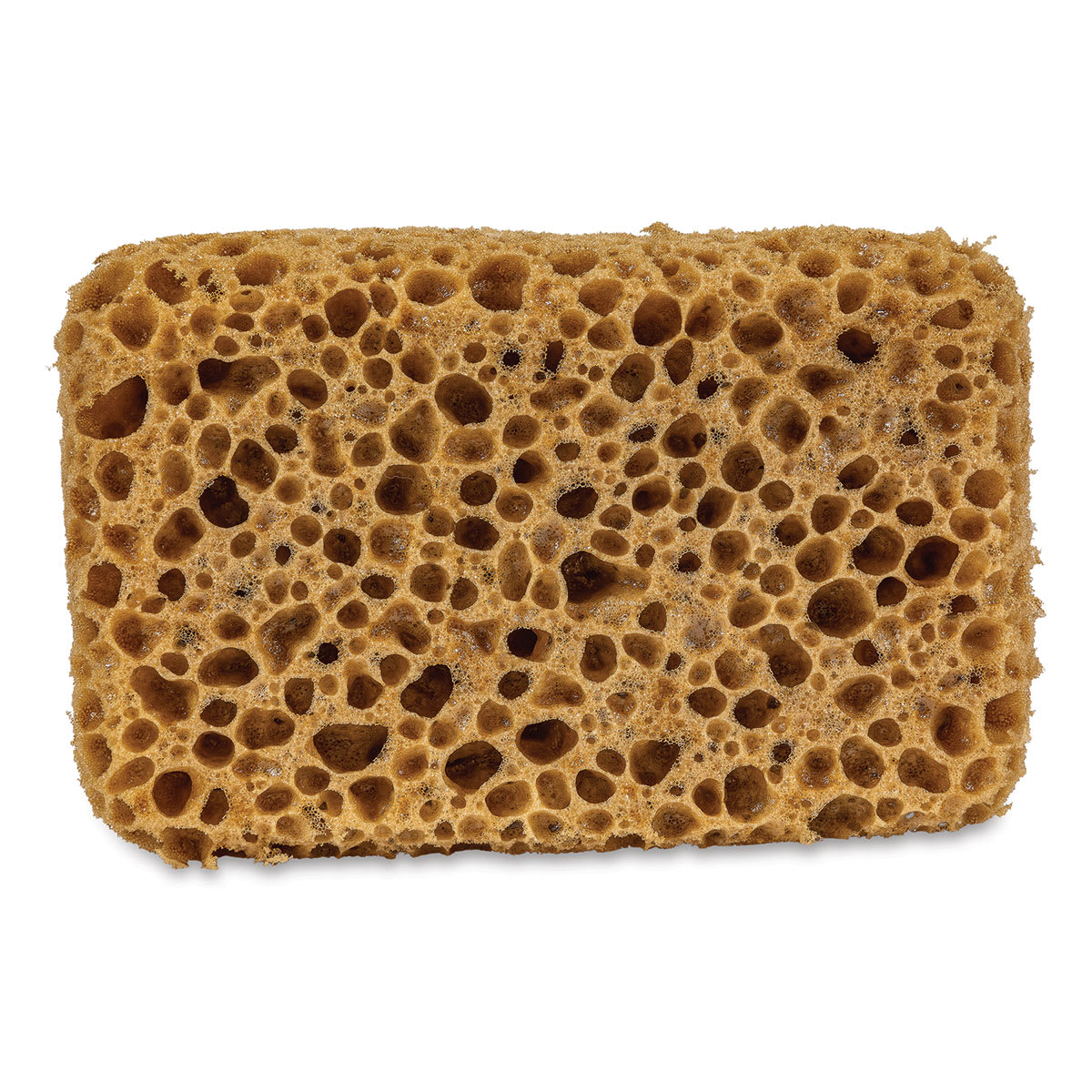 Oval Poly Sponge - 6" x 4" x 2 1/2"