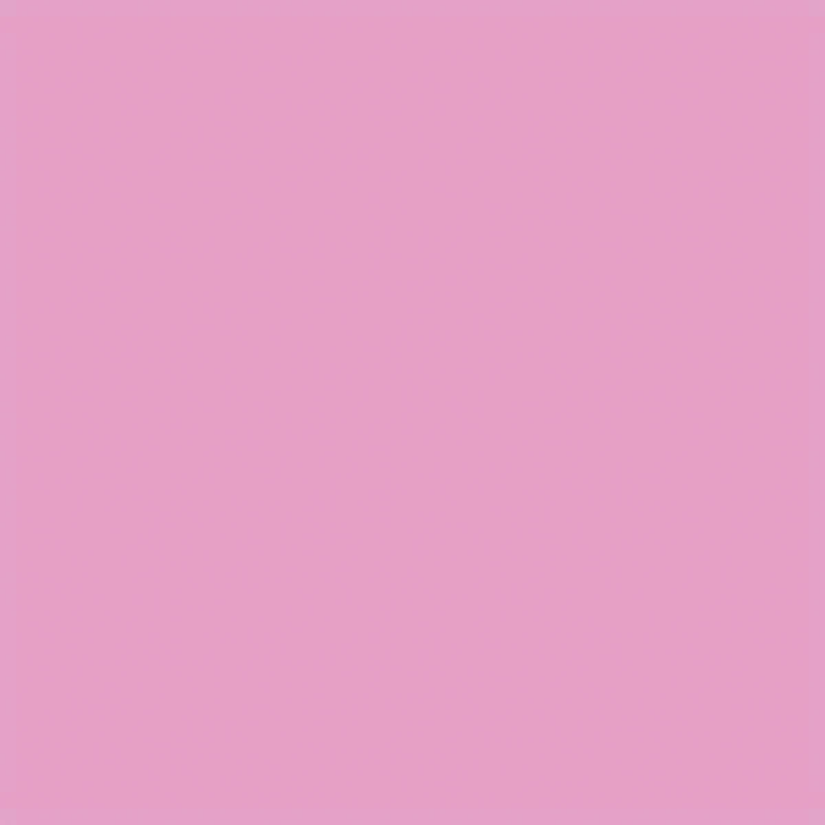 Van Aken Plastalina Modeling Clay - Pastel Pink