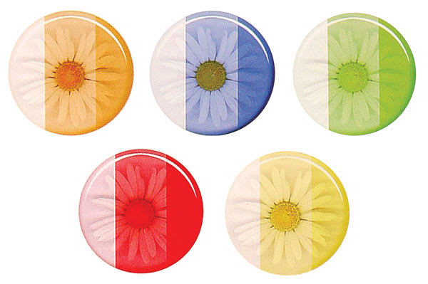 Castin’ Craft Transparent Resin Dyes - 5 colors available shown on Resin Daisy disk