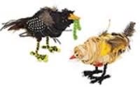 join the flock