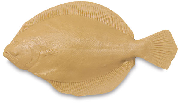 Flounder