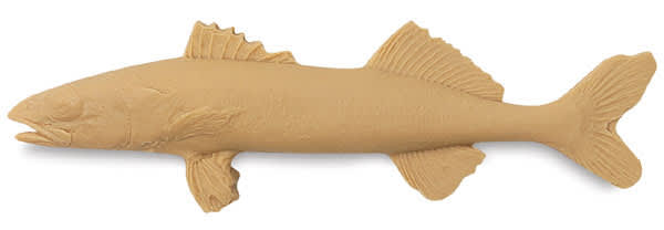 Walleye