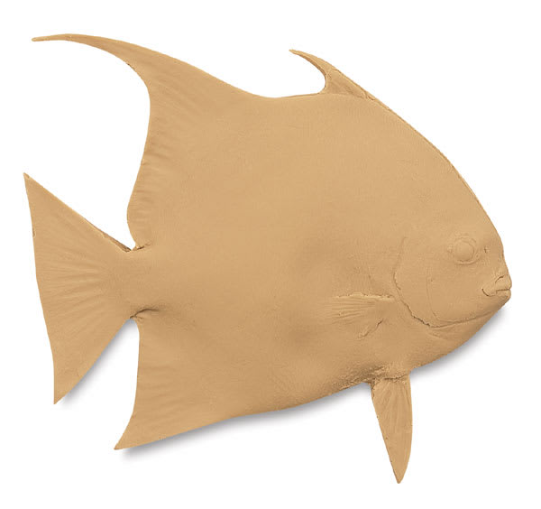 Angel Fish