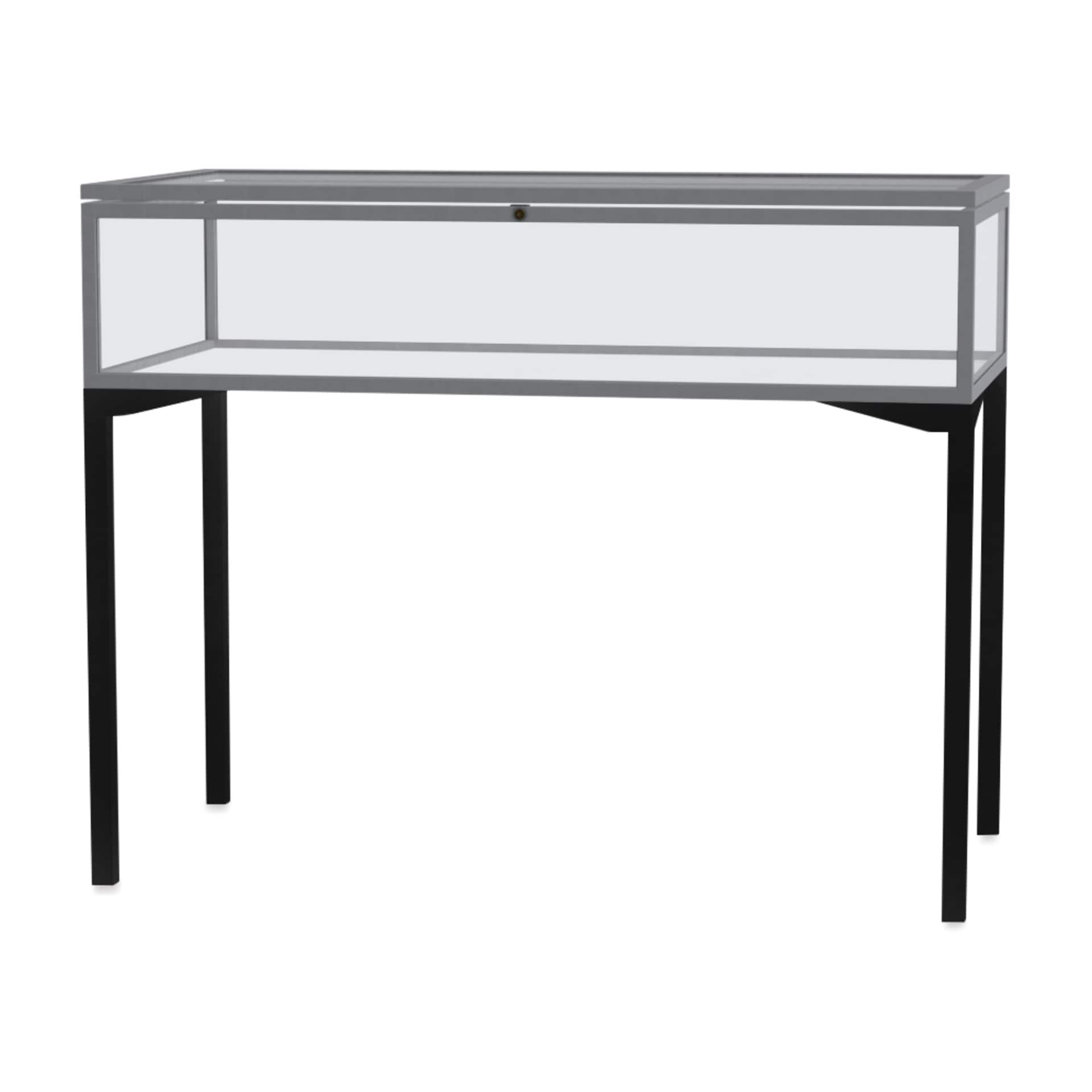 Waddell Keepsake Display Case Table - Satin Natural, Standard, Hinged Top Door
