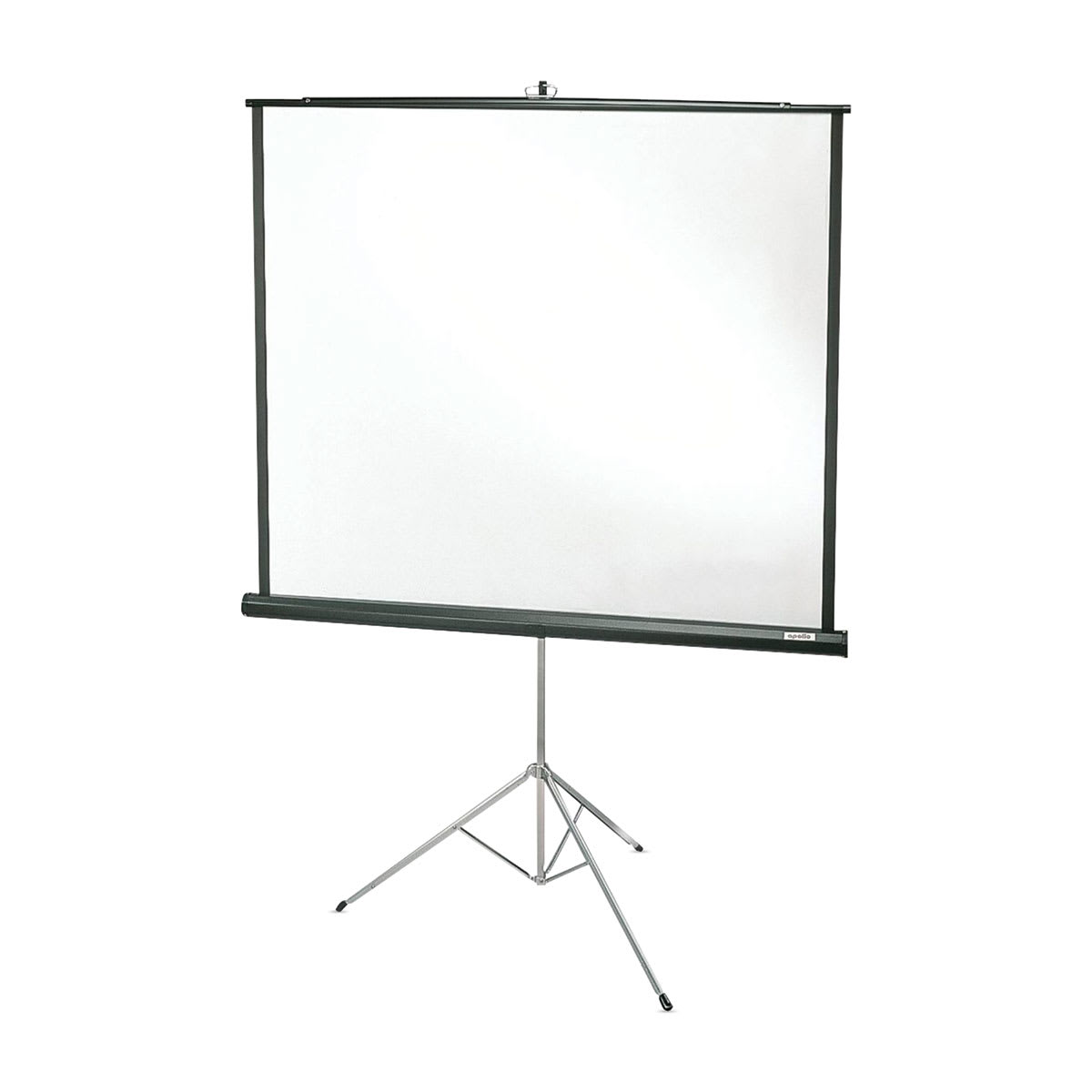 Apollo Projection Screen -  70" x 70"