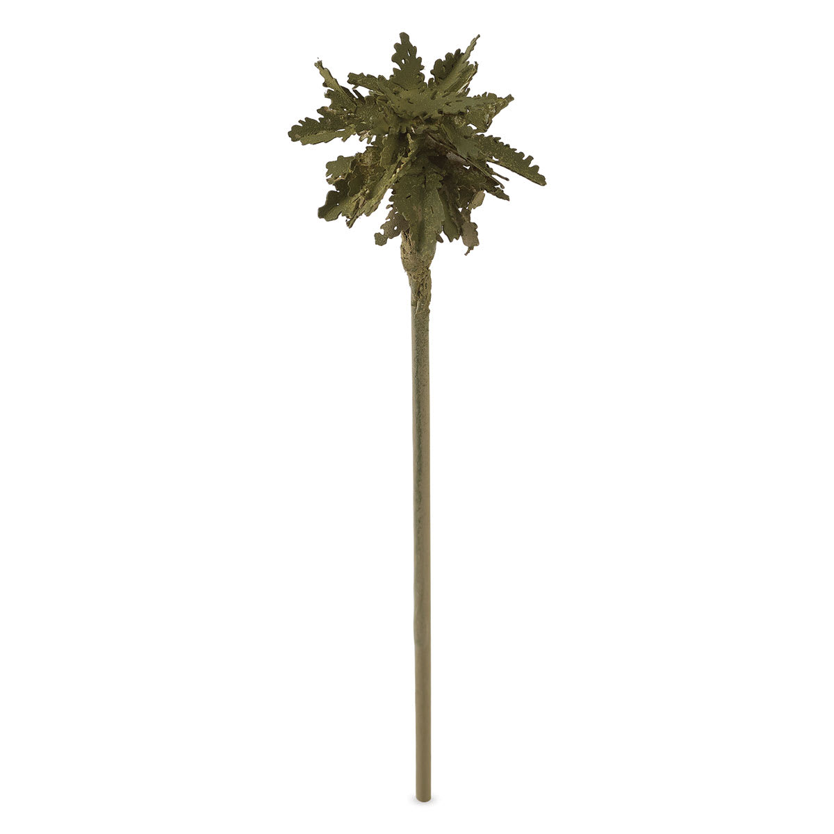 Mr. Tree Model Trees