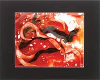 insoluble paintings