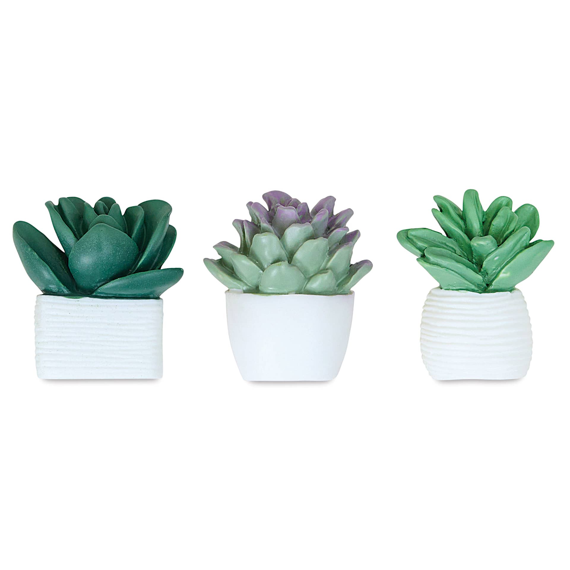 U Brands Push Pins - Potted Succulents, Pkg of 6 one of each push pin