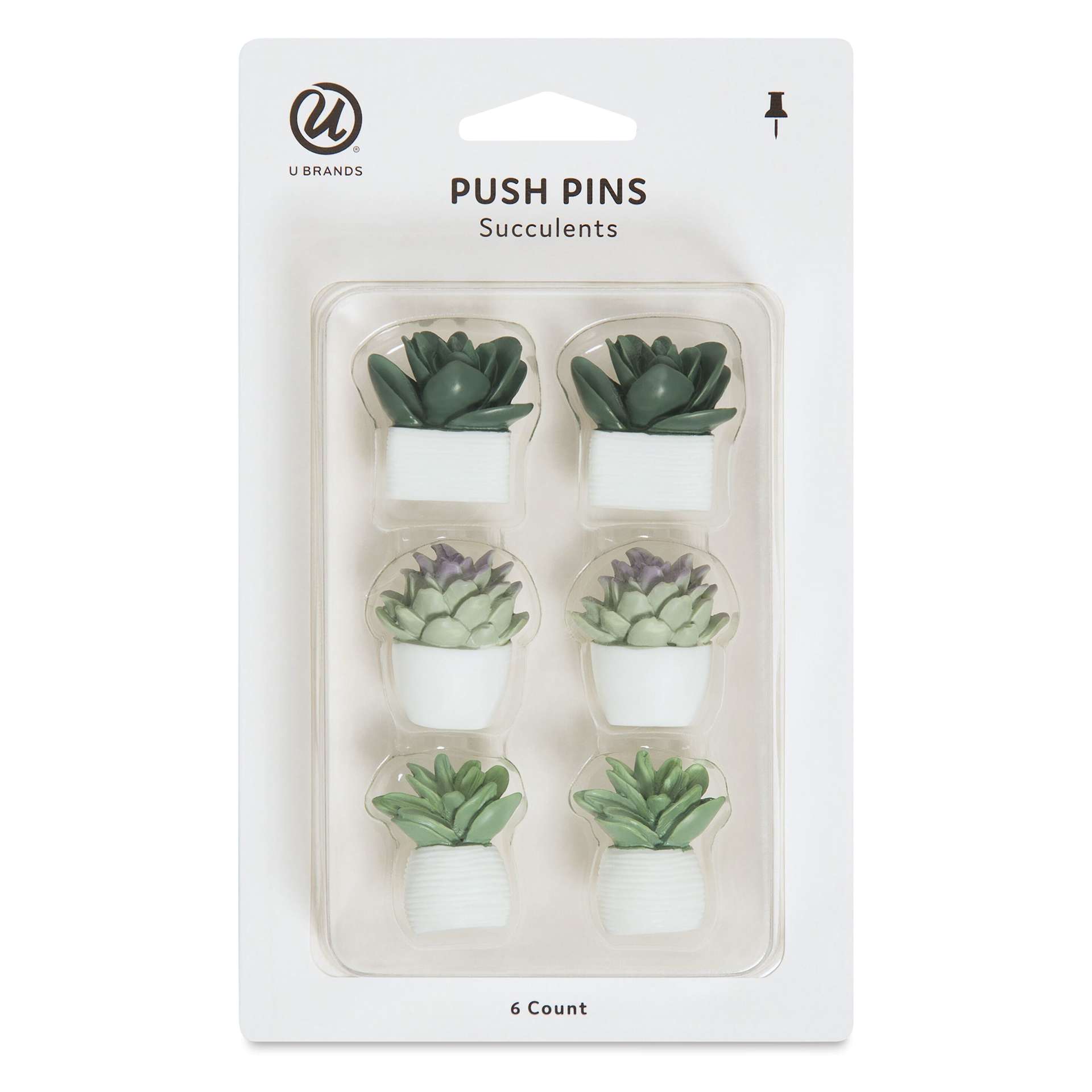 U Brands Push Pins - Potted Succulents, Pkg of 6, front of the packaging