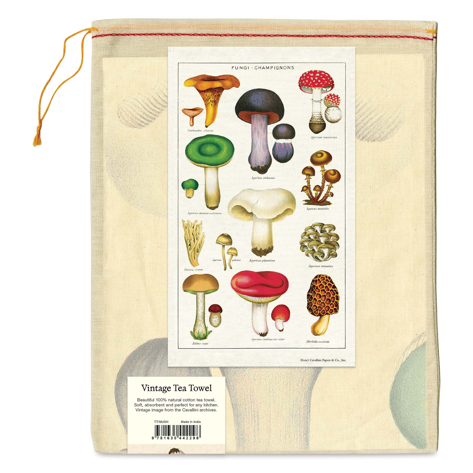 Cavallini Mushrooms Tea Towel (Back of packaging)