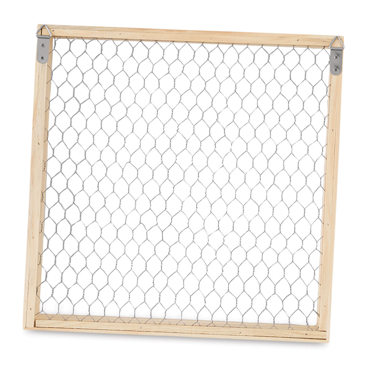 Chicken Wire Shadow Box