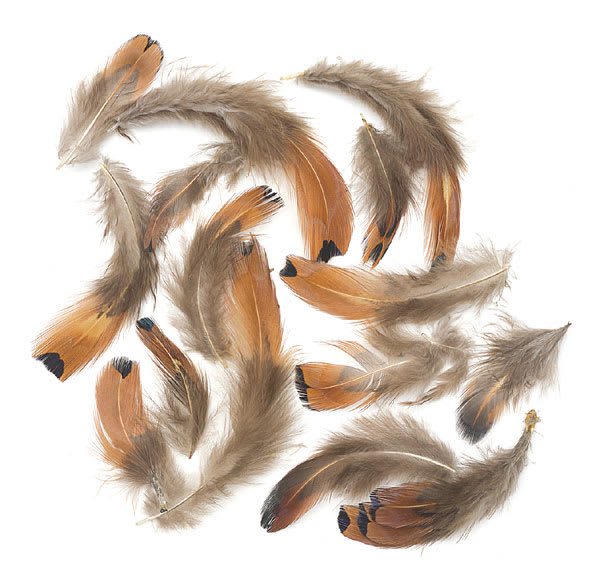 Pheasant Heart
