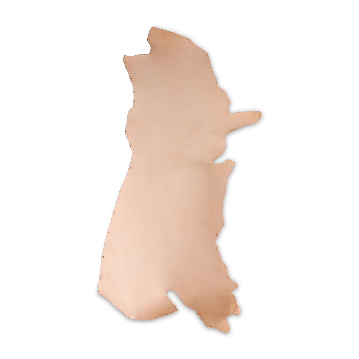 Realeather First Quality Leather Hide - Lightweight Side laid out flat