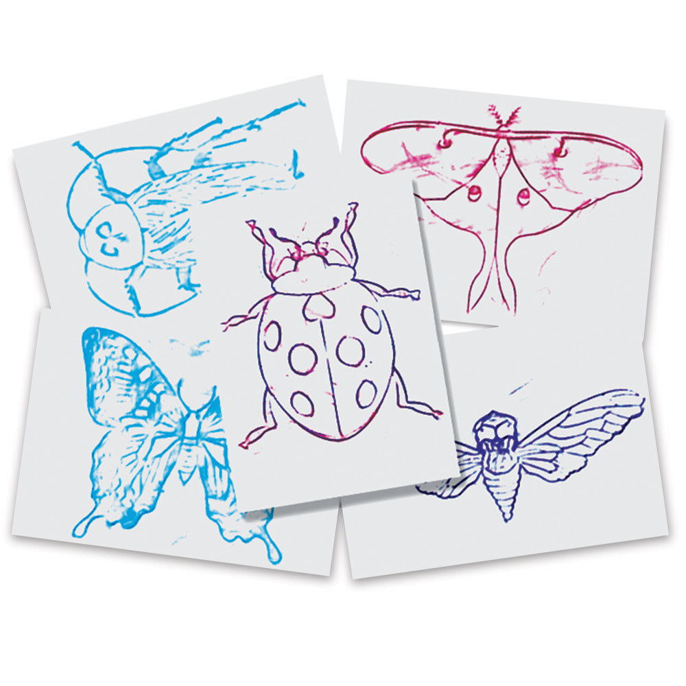 Roylco Rubbing Plates, five finished insect designs