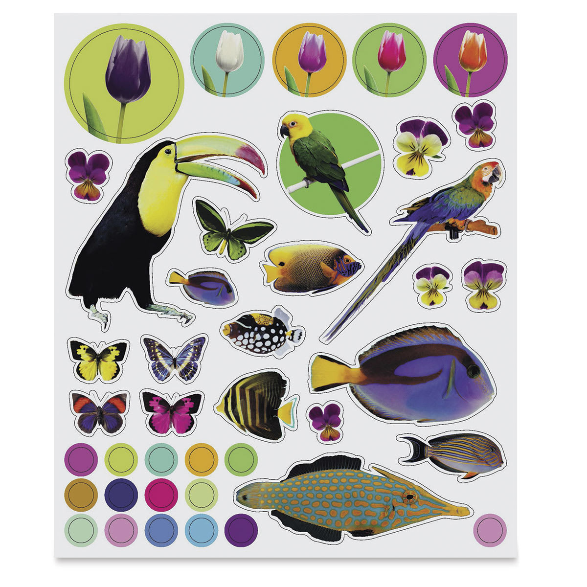 Eyelike Colors in Nature Reusable Stickers, Page