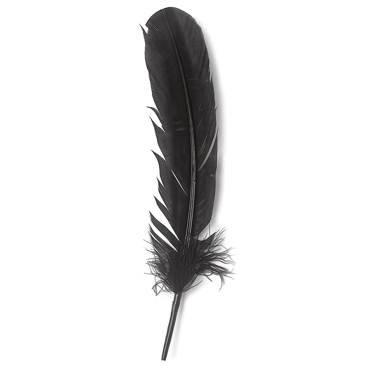 Turkey Feathers, Pkg of 8