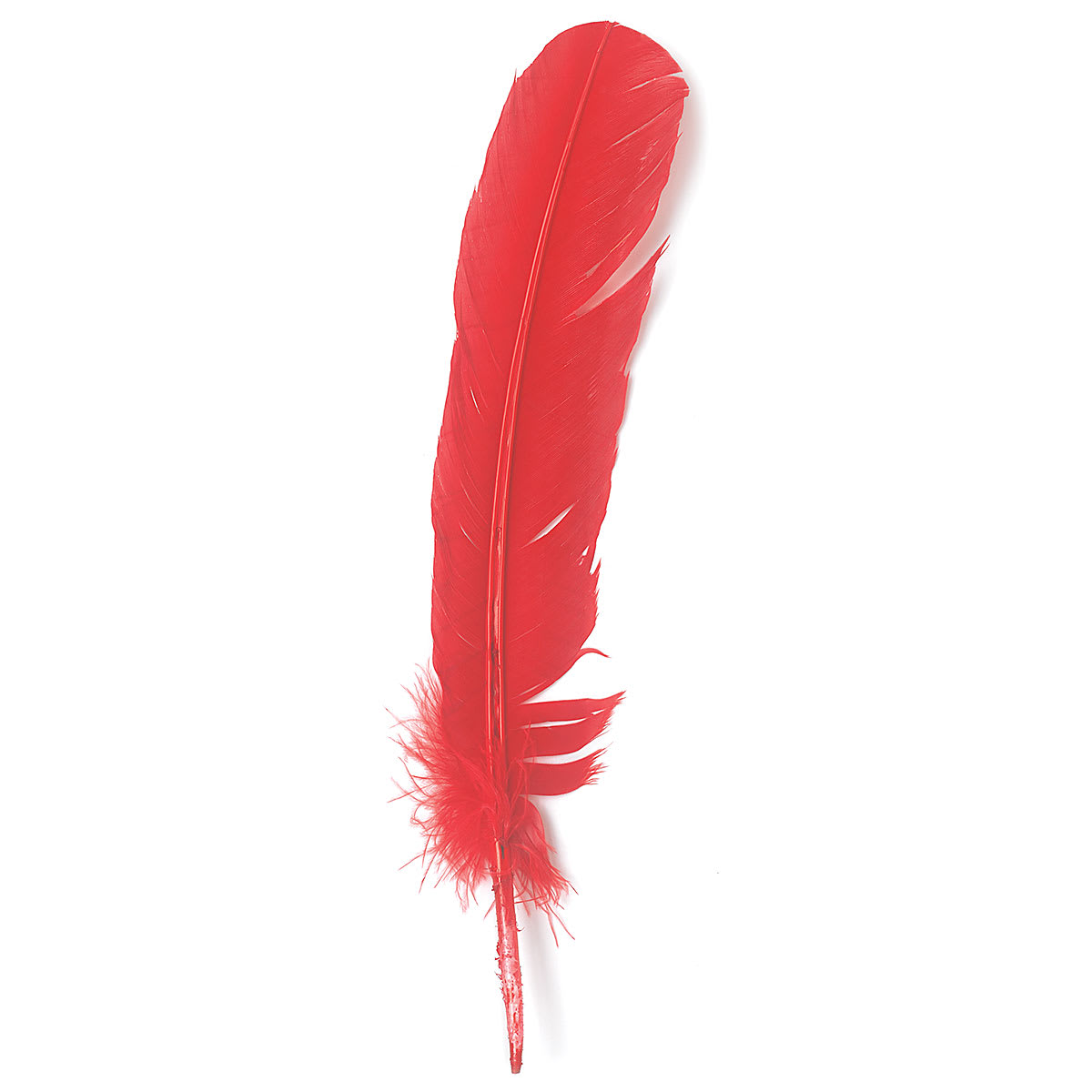 Turkey Feathers, Pkg of 8