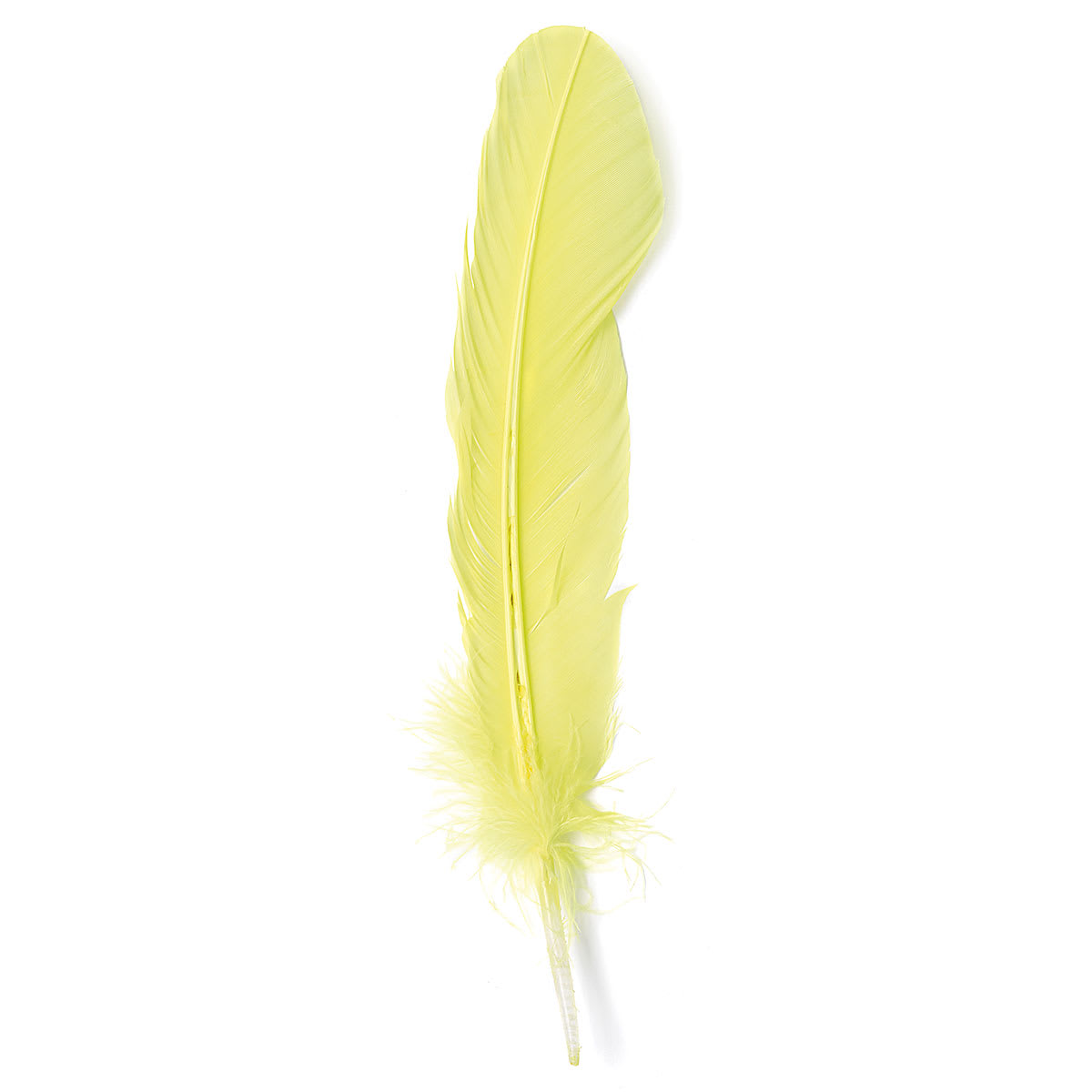 Turkey Feathers, Pkg of 8