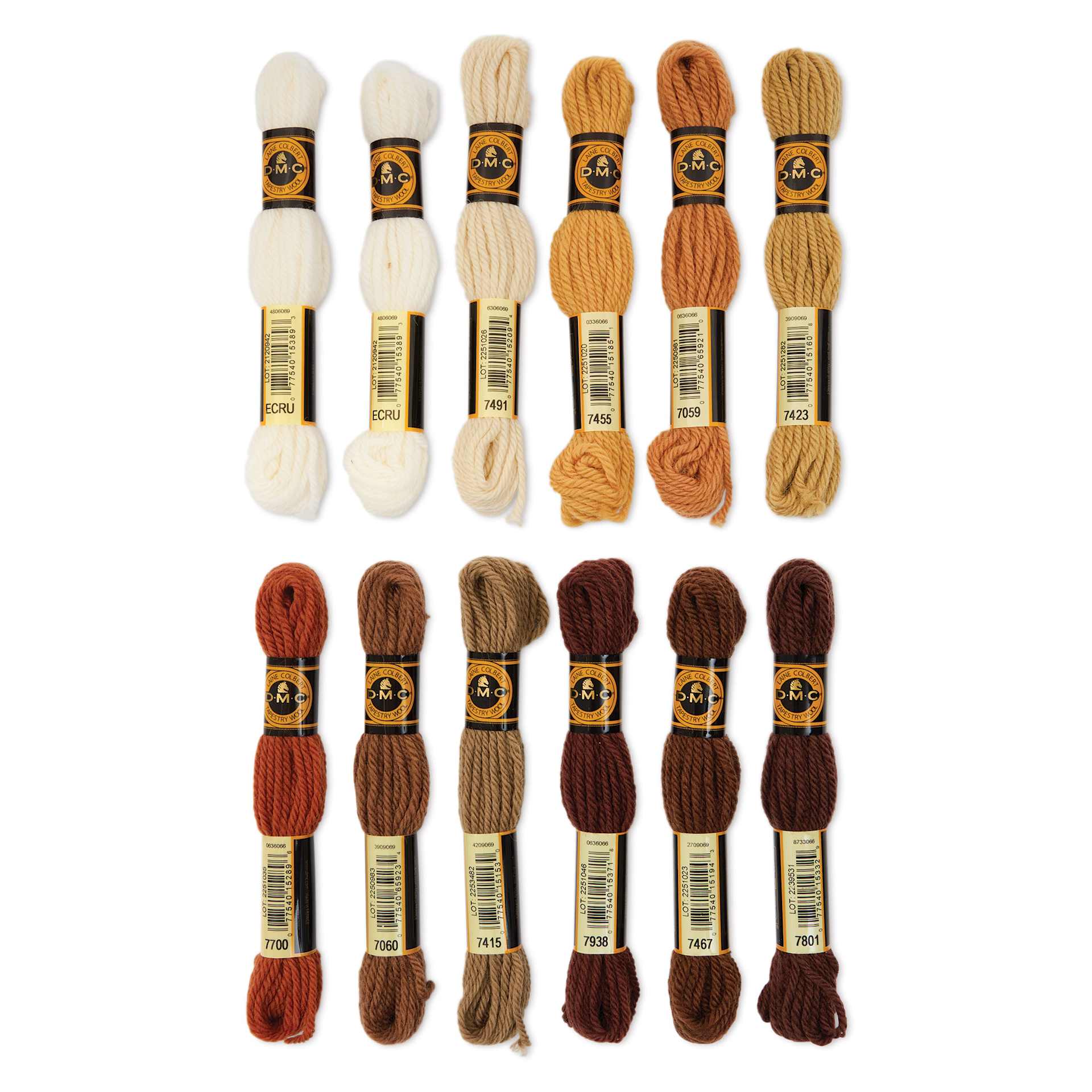 DMC Tapestry Wool Thread - Earth Tones, 8 m, Set of 12