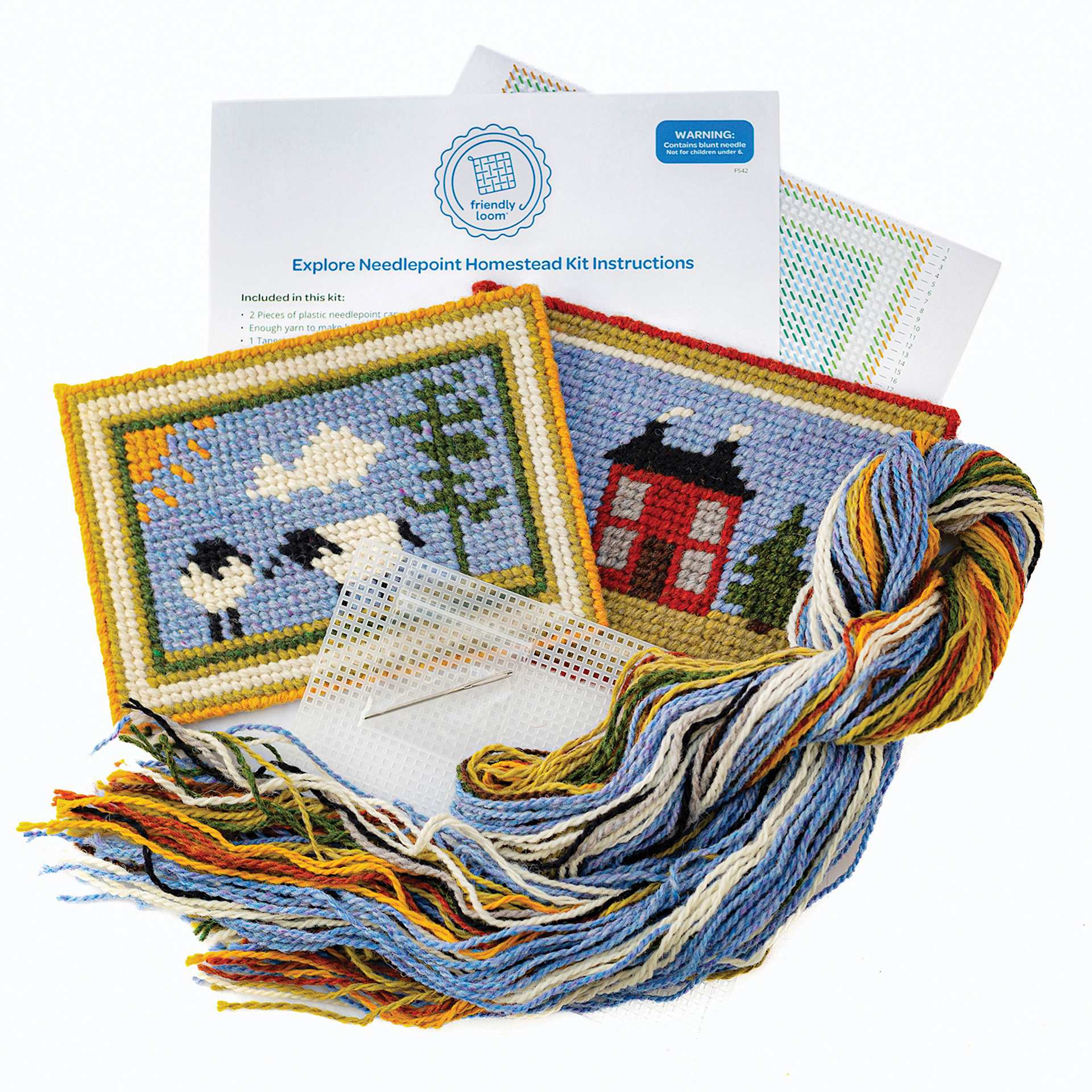 Friendly Loom Explore Needlepoint Homestead Kit contents