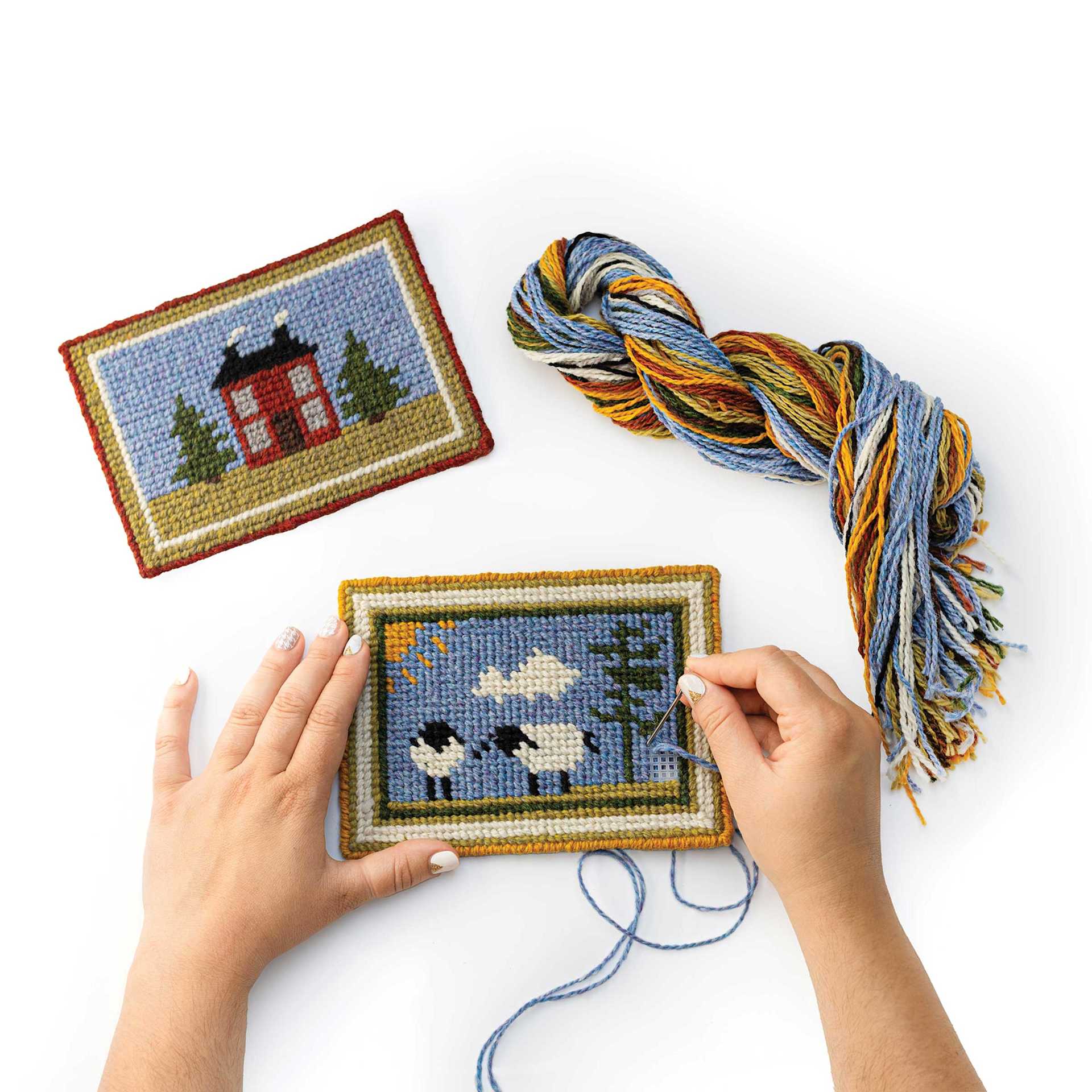 Friendly Loom Explore Needlepoint Homestead Kit showing included projects