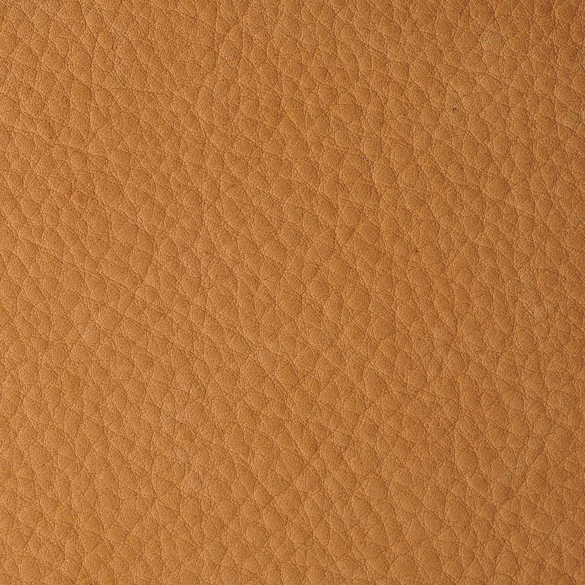 Realeather Deertan Leather Trim - Gold, close-up of the leather sheet