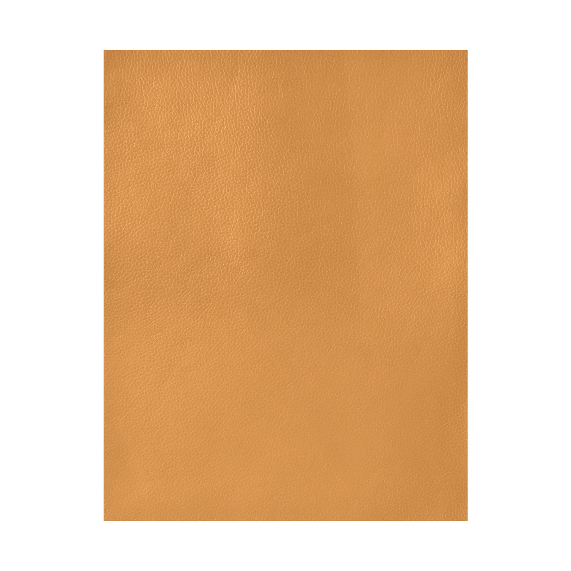 Realeather Deertan Leather Trim - Gold, 11" x 8-1/2"