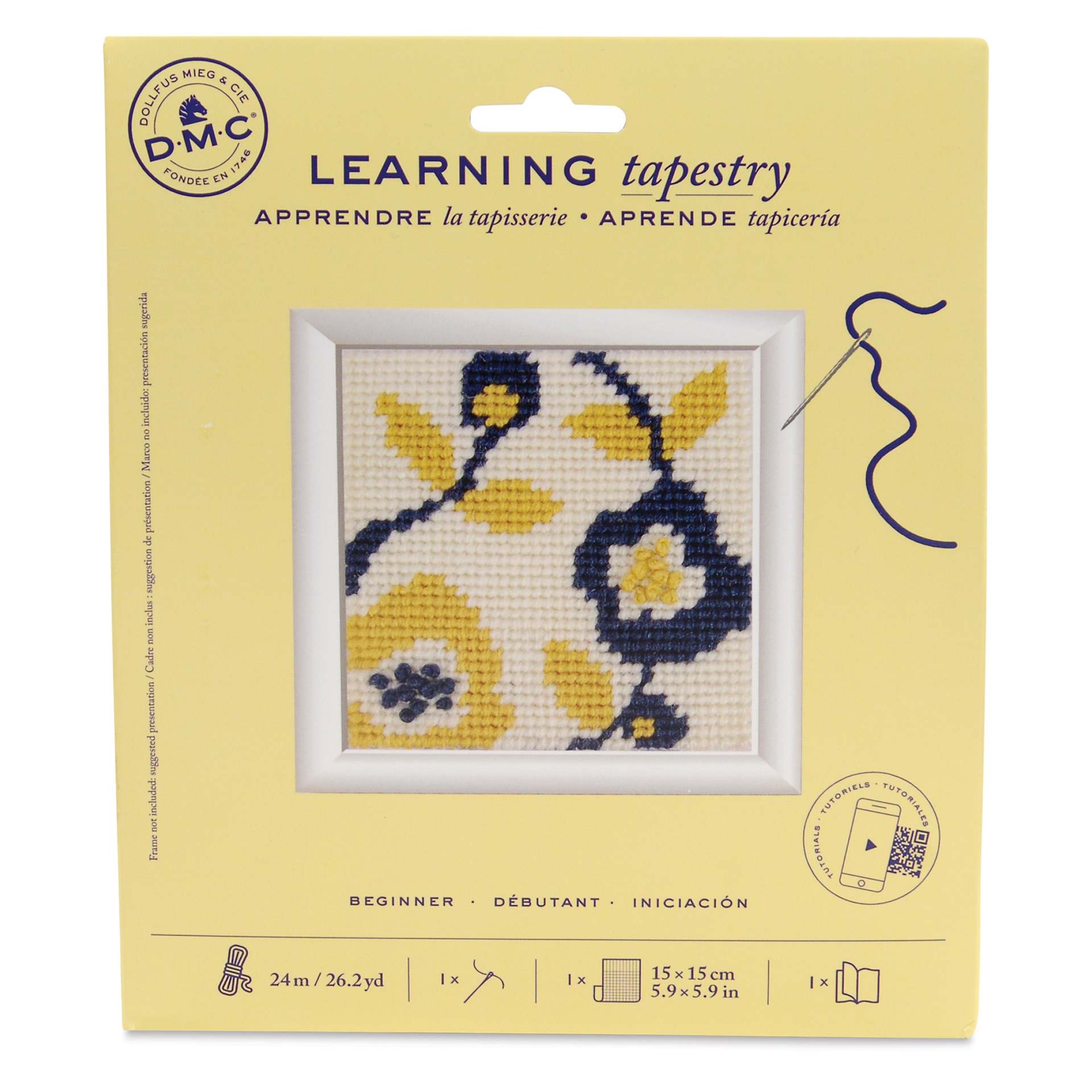 DMC Learning Tapestry Kit - front of packaging
