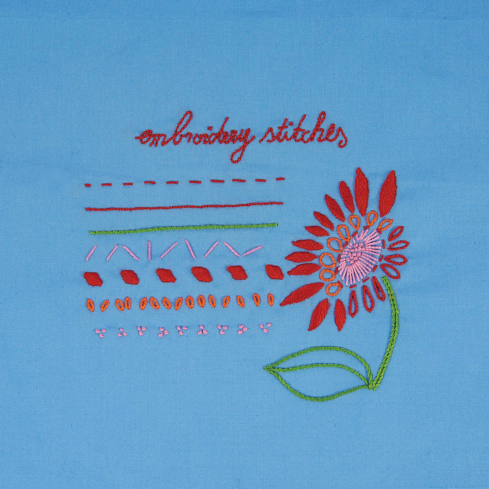 DMC Learning Embroidery Kit - finished pattern example