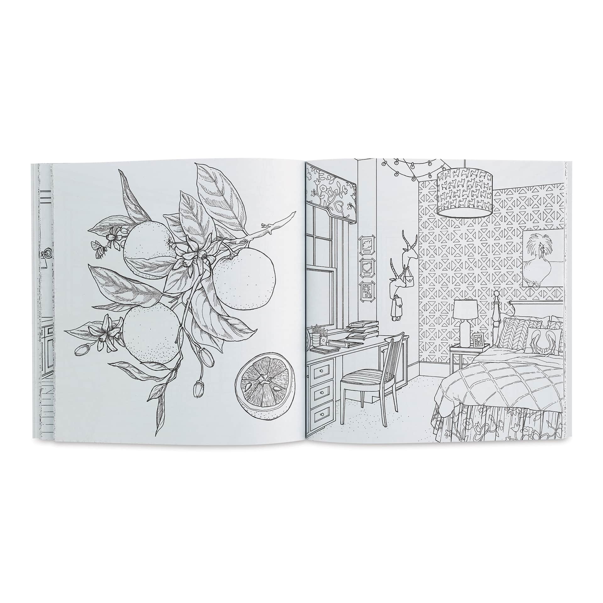 Color at Home Coloring Book (orange blossom and adult bedroom pages)