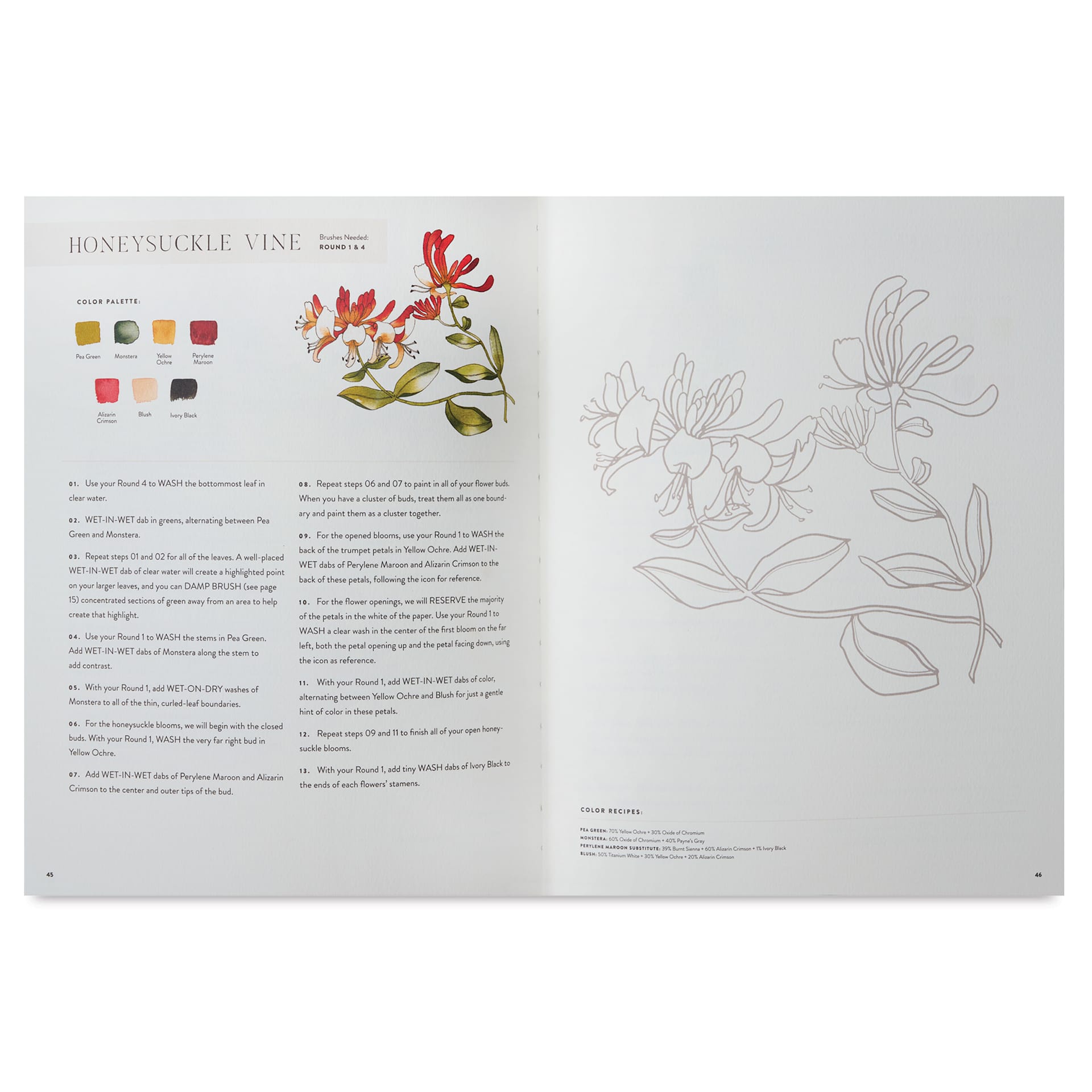 Watercolor Workbook: Café in Bloom - 8-1/2" x 11", 88 Pages, Honeysuckle Vine