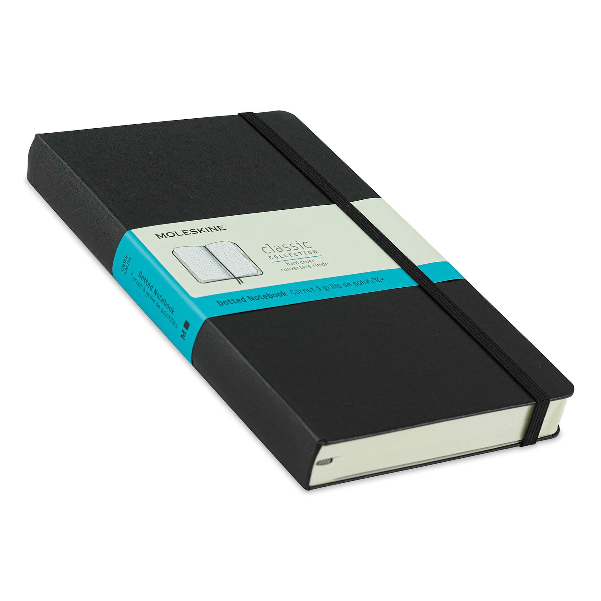 Moleskine Classic Expanded Hardcover Notebook - Dotted, Black, Large, 8-1/4" x 5" (side view)
