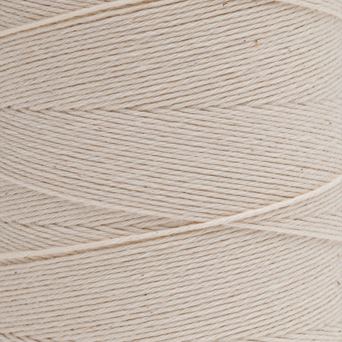 Maysville Cotton Warp - 800 Yards, Natural - close-up