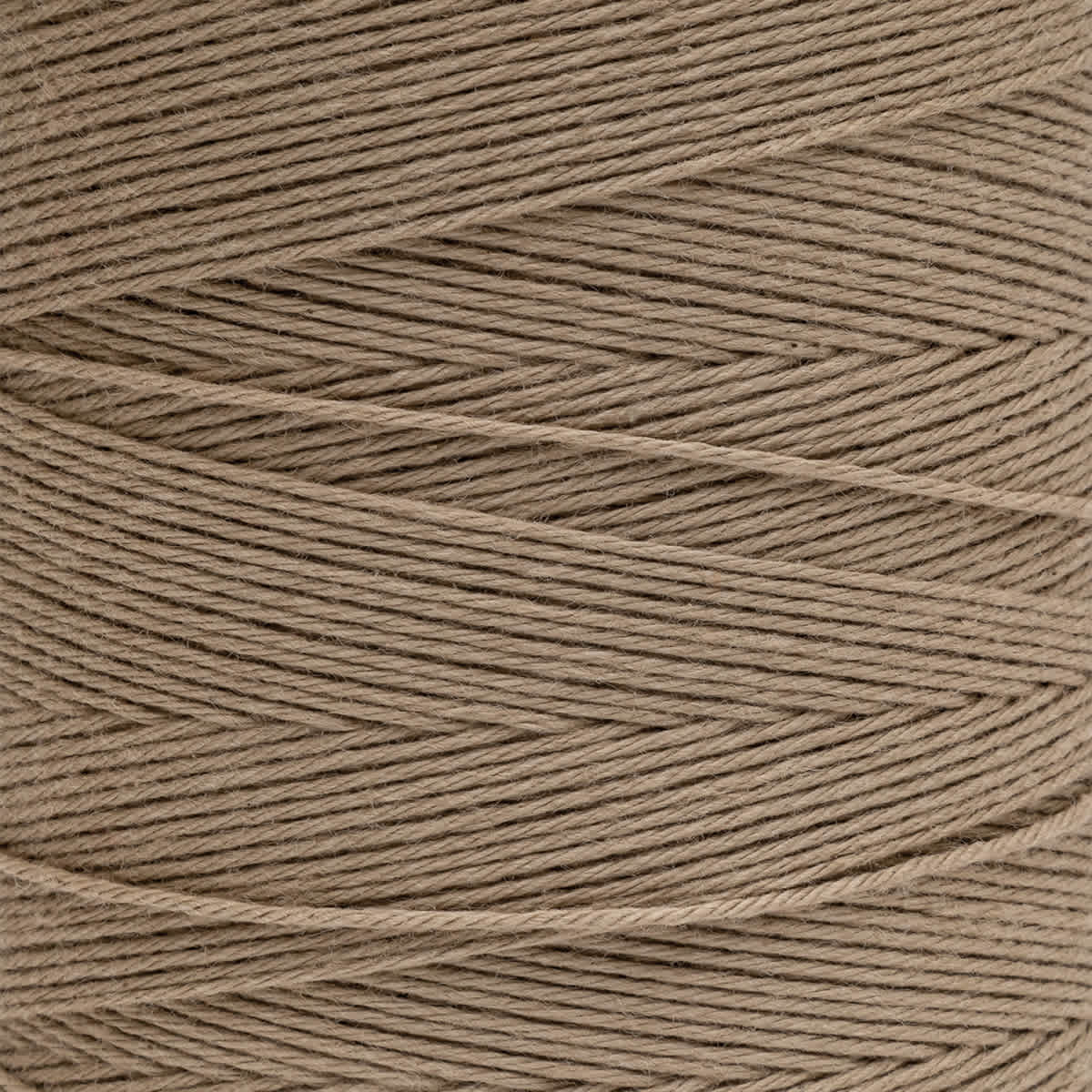 Maysville Cotton Warp - 800 Yards, Linen - close-up