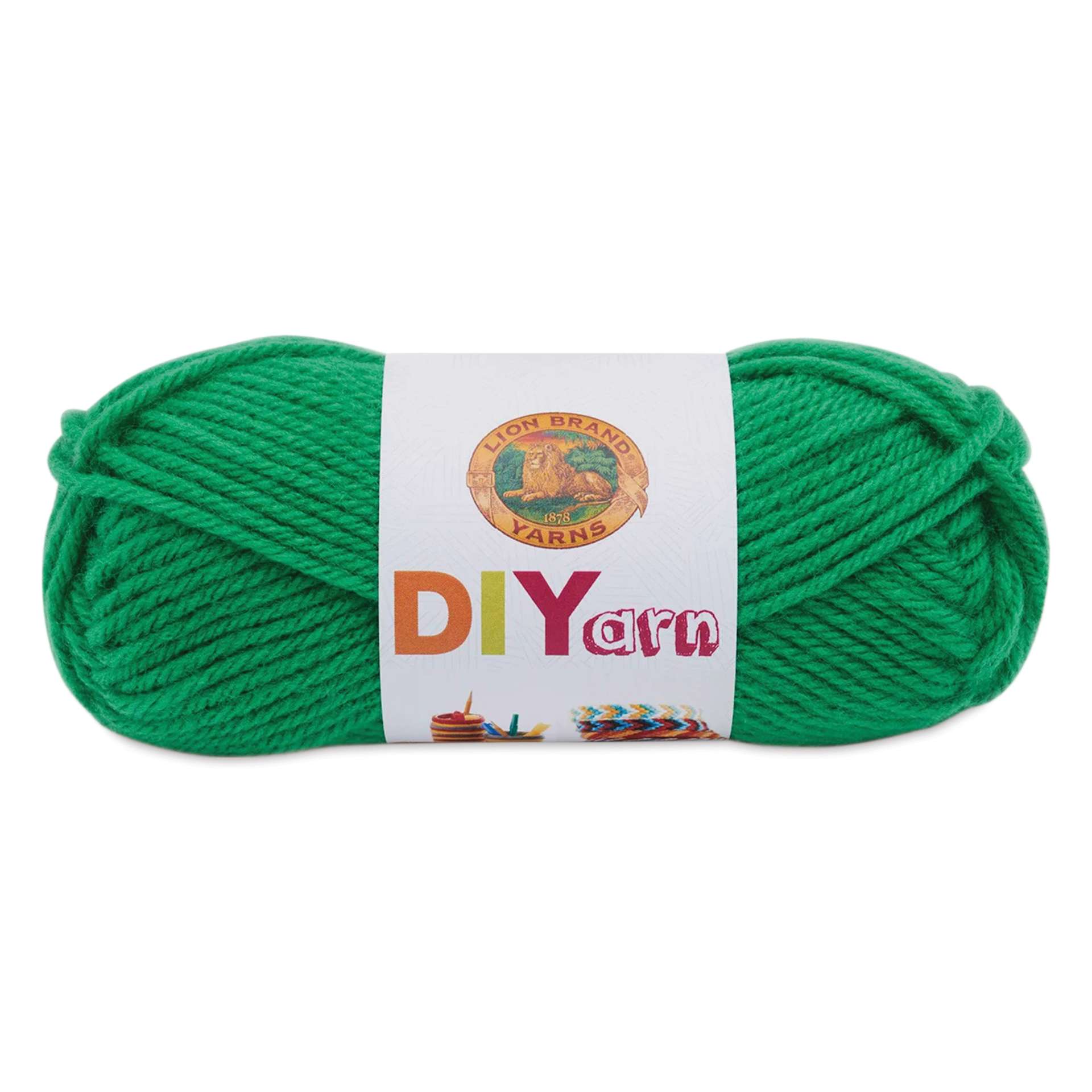 Lion Brand DIYarn - Green