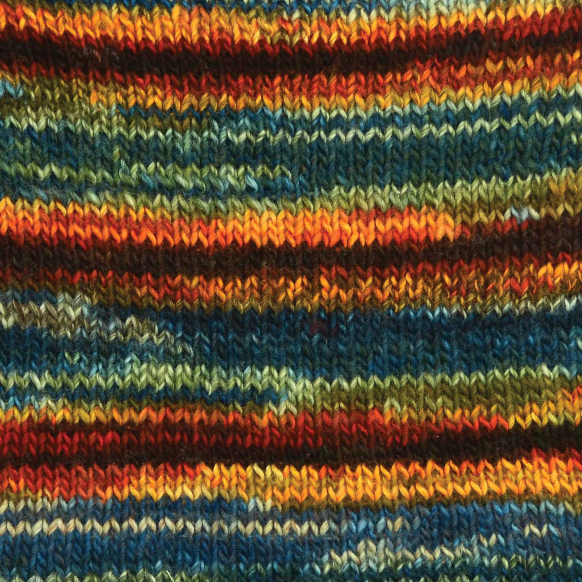Premier Yarn Spun Colors Yarn - Woodland