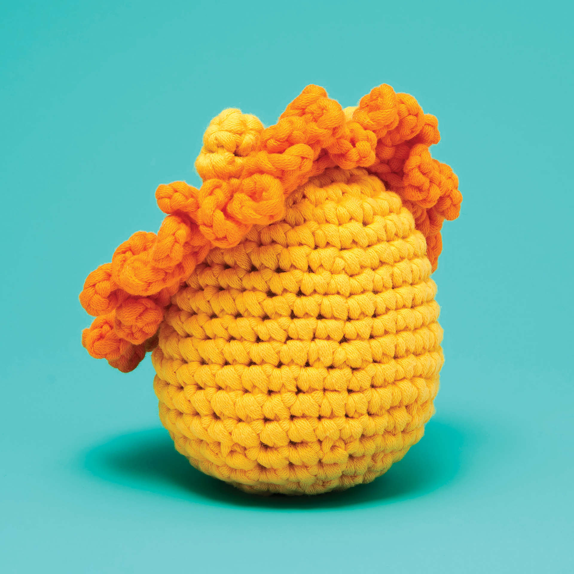 The Woobles Beginner Crochet Amigurumi Kit - Lion, back