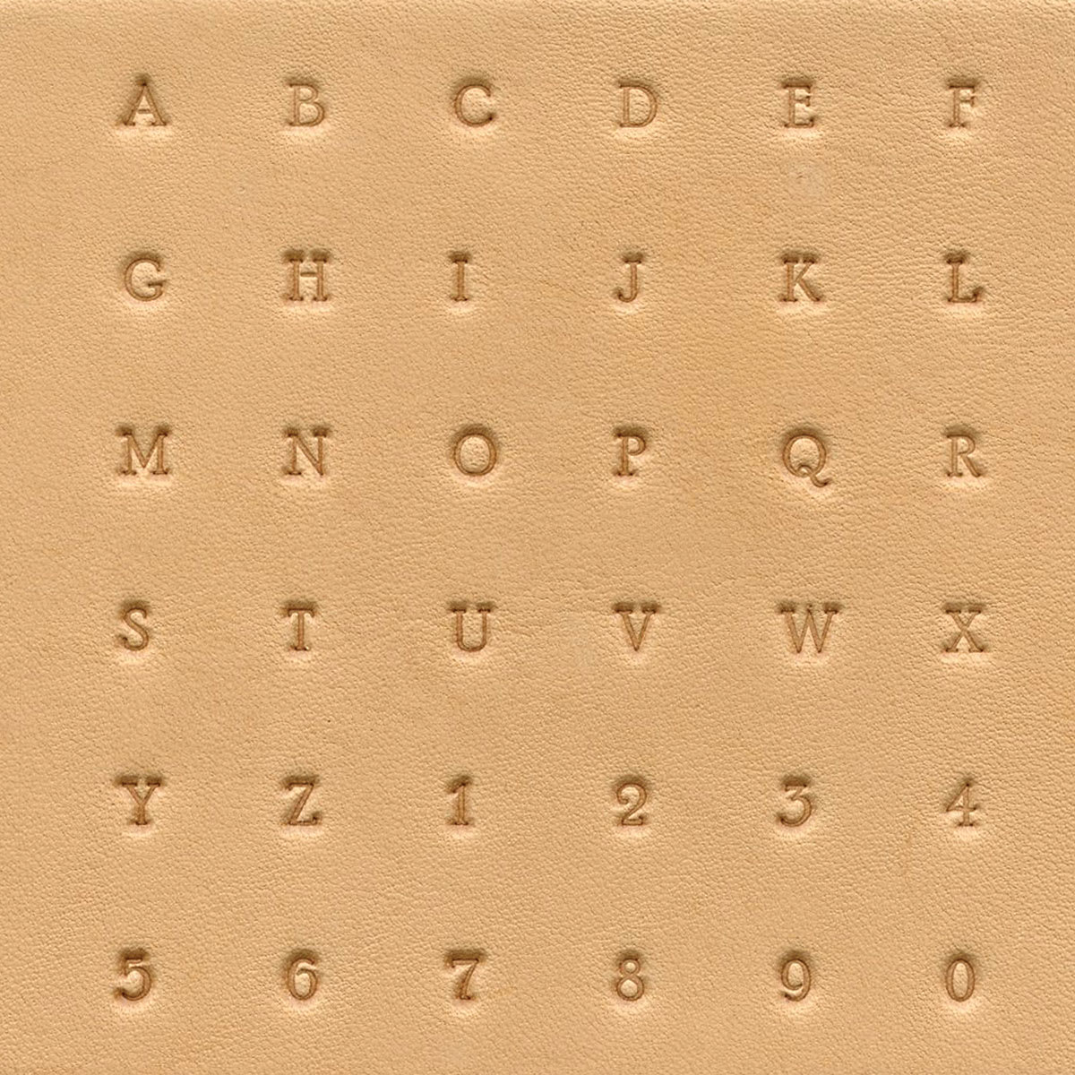 Realeather Leather Tooling Sets - Examples of letters and numbers tooled in leather
