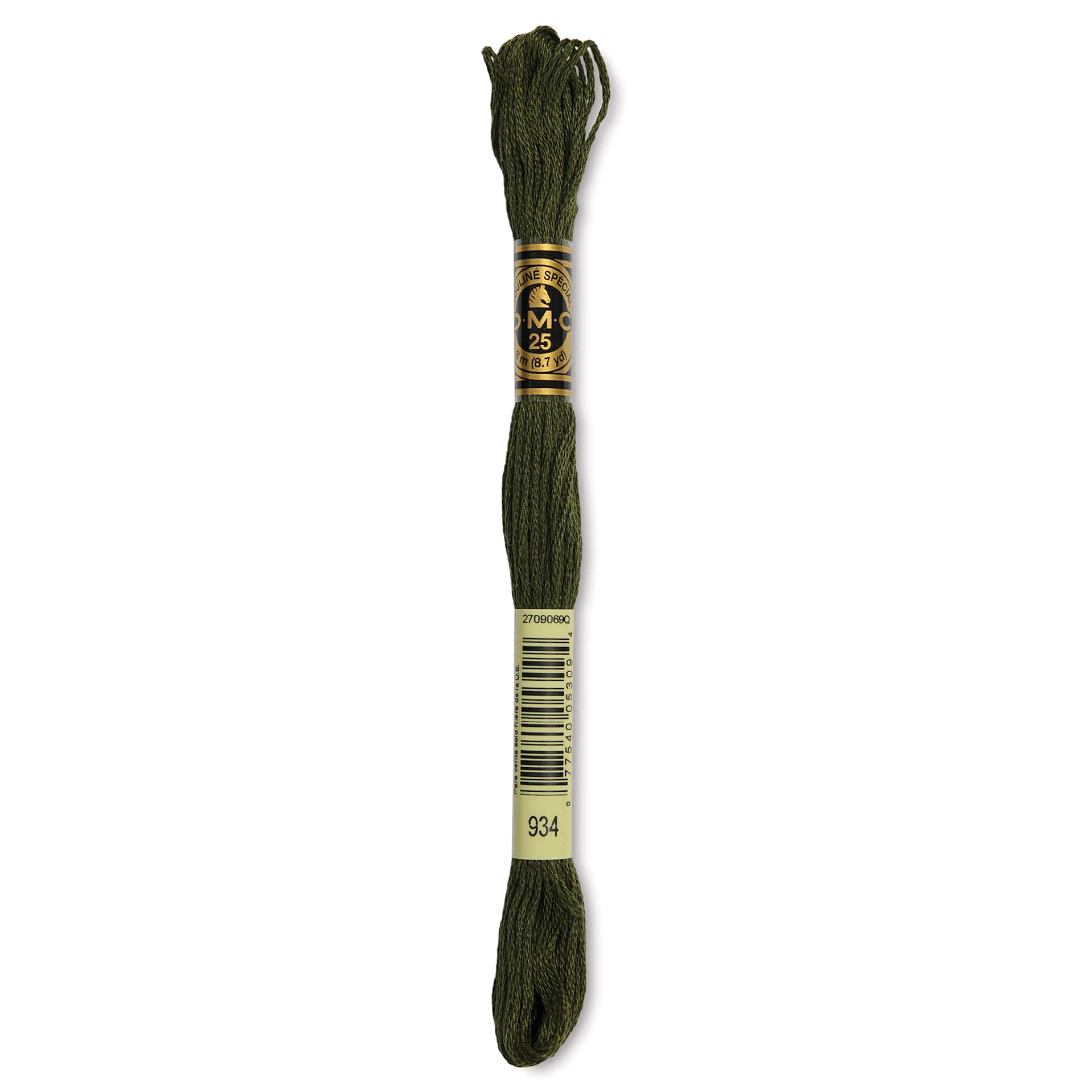 DMC Cotton Embroidery Floss - Black Avocado Green, 8-3/4 yards