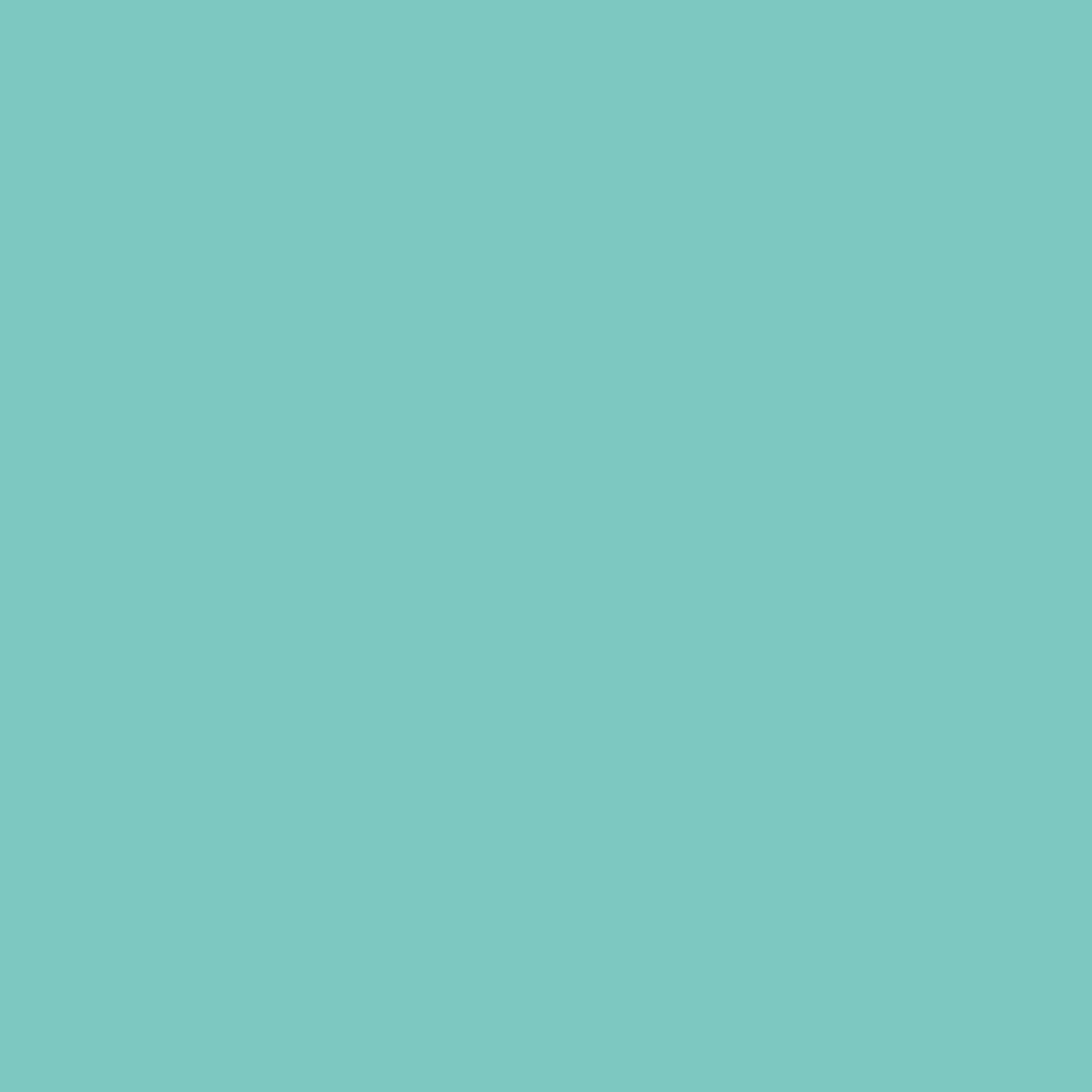 Acrylic Leather Paint South Beach