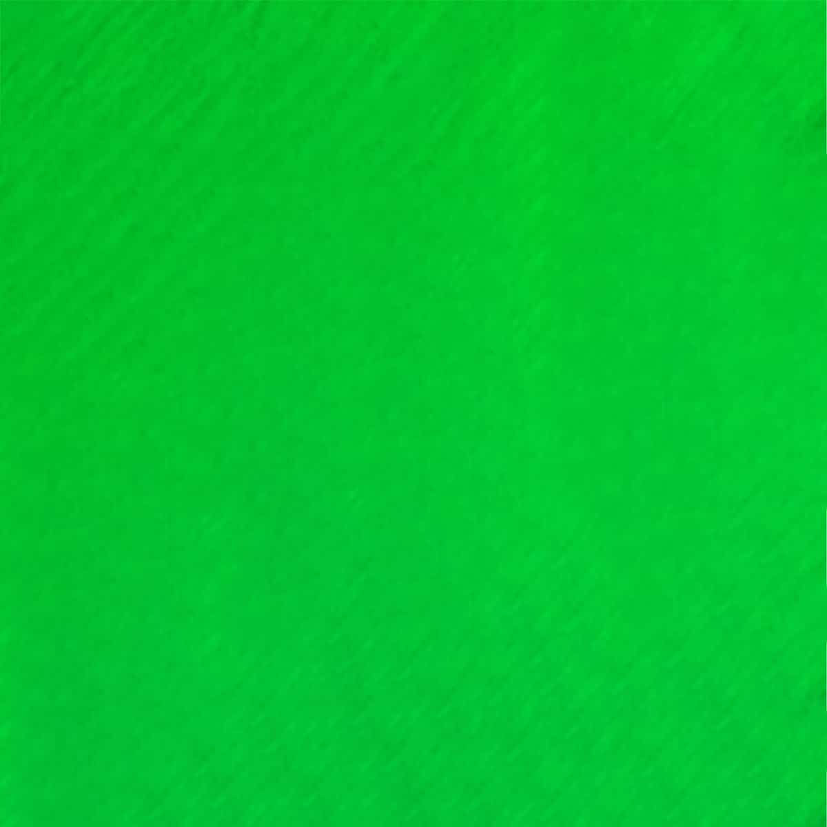 Neon Leather Paint Amazon Green