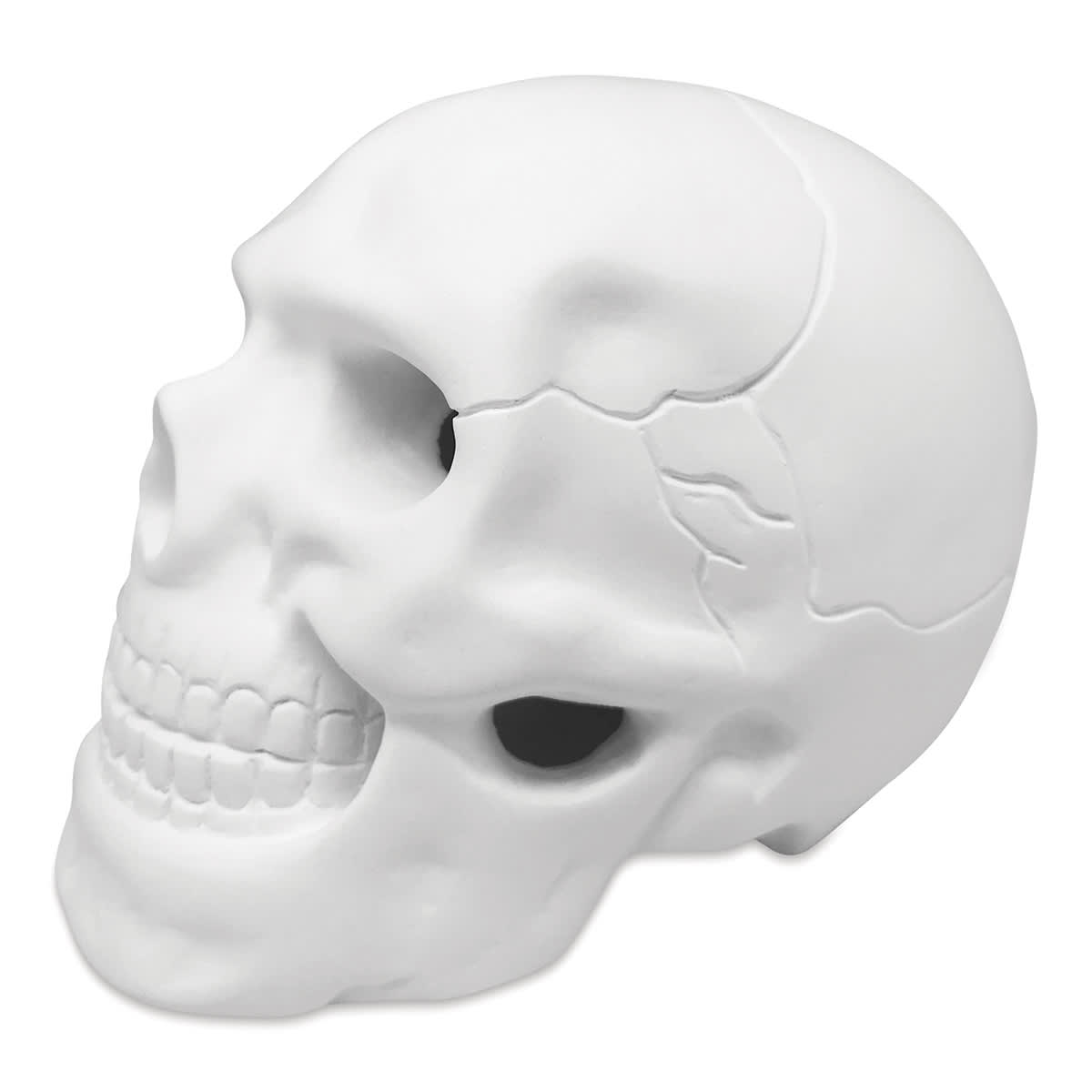 Halloween Plaster Heads