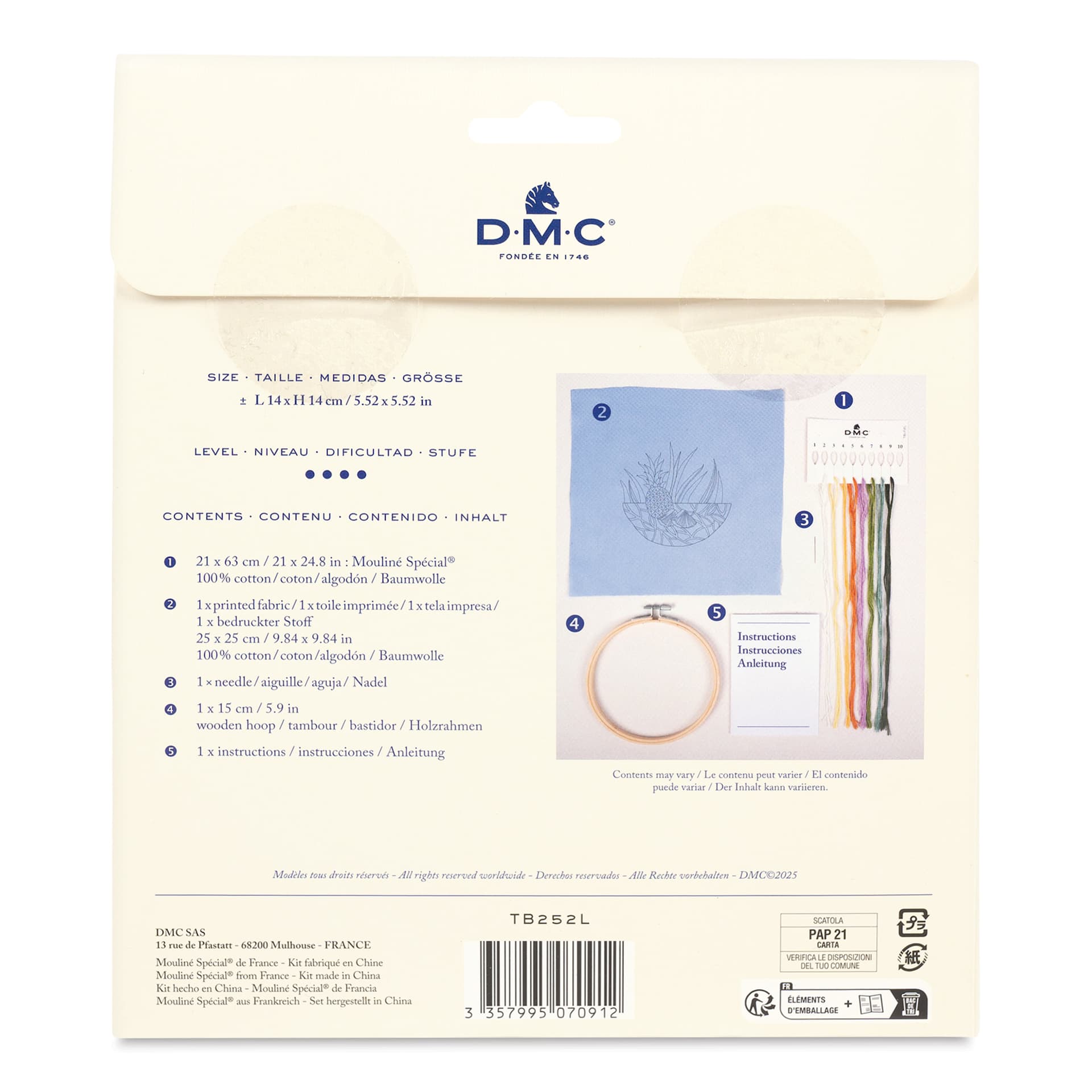 DMC Stitch Kit - Pineapple, back of packaging