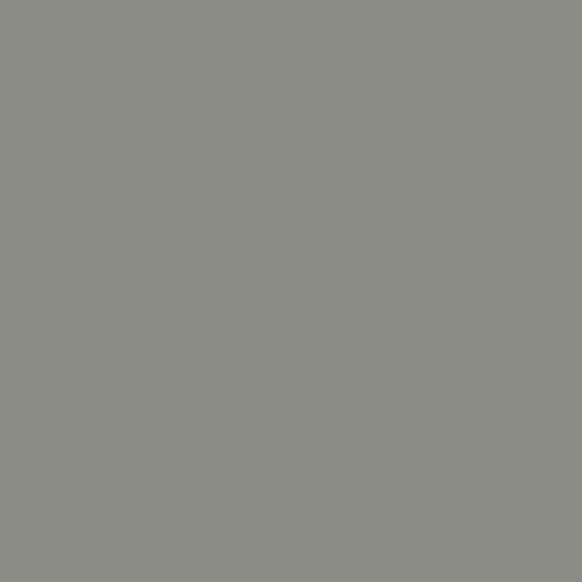 Cricut Infusible Ink Solid Transfer Sheets - Warm Grey
