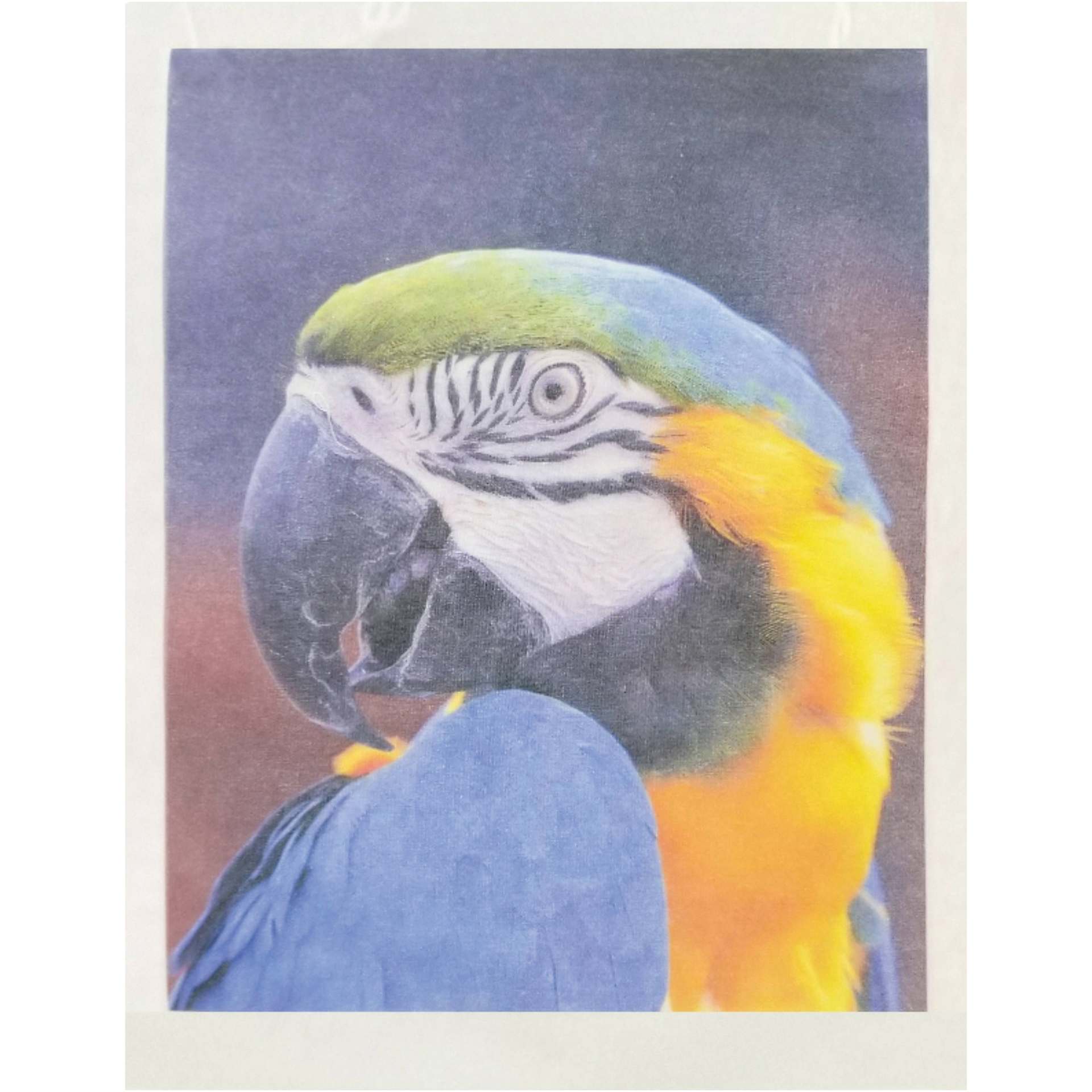 Jacquard PrintFix Protective Spray - 13.53 oz (Inkjet print on fabric, Treated with PrintFix, Washed 3 times)