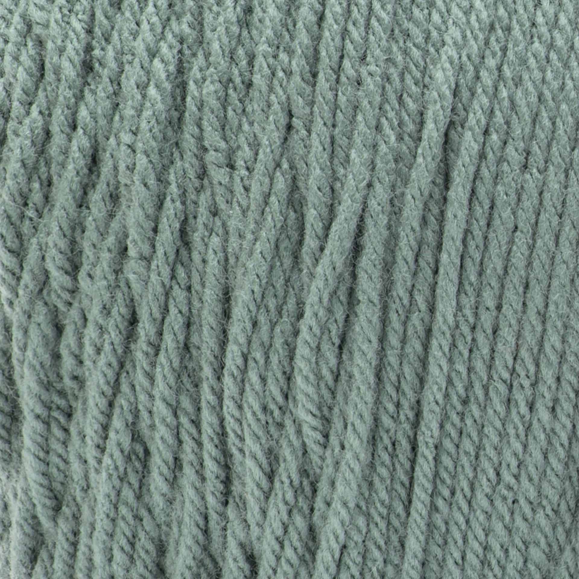 Caron One Pound Acrylic Yarn - Hosta close-up