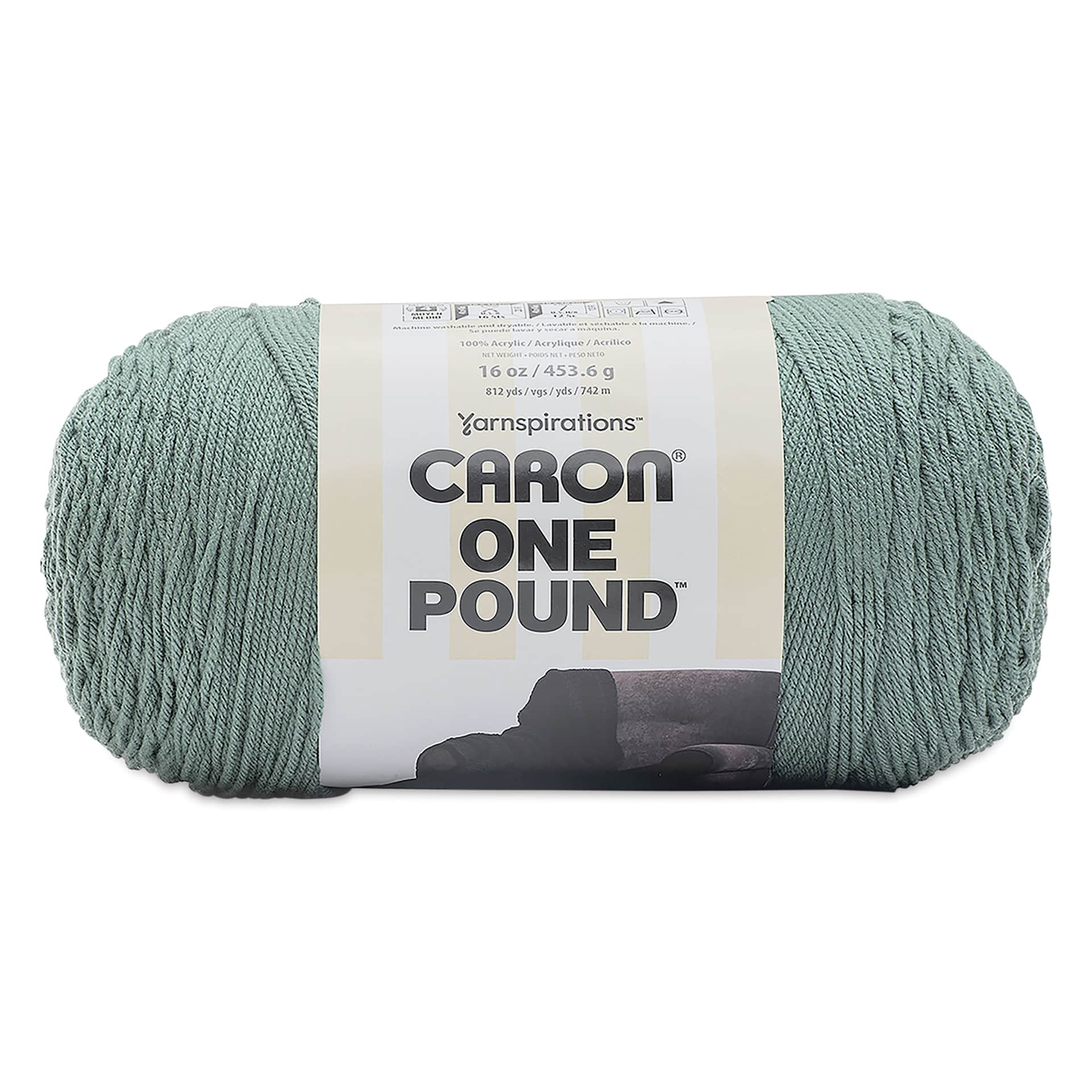 Caron One Pound Acrylic Yarn - 1 lb, 4-Ply, Hosta