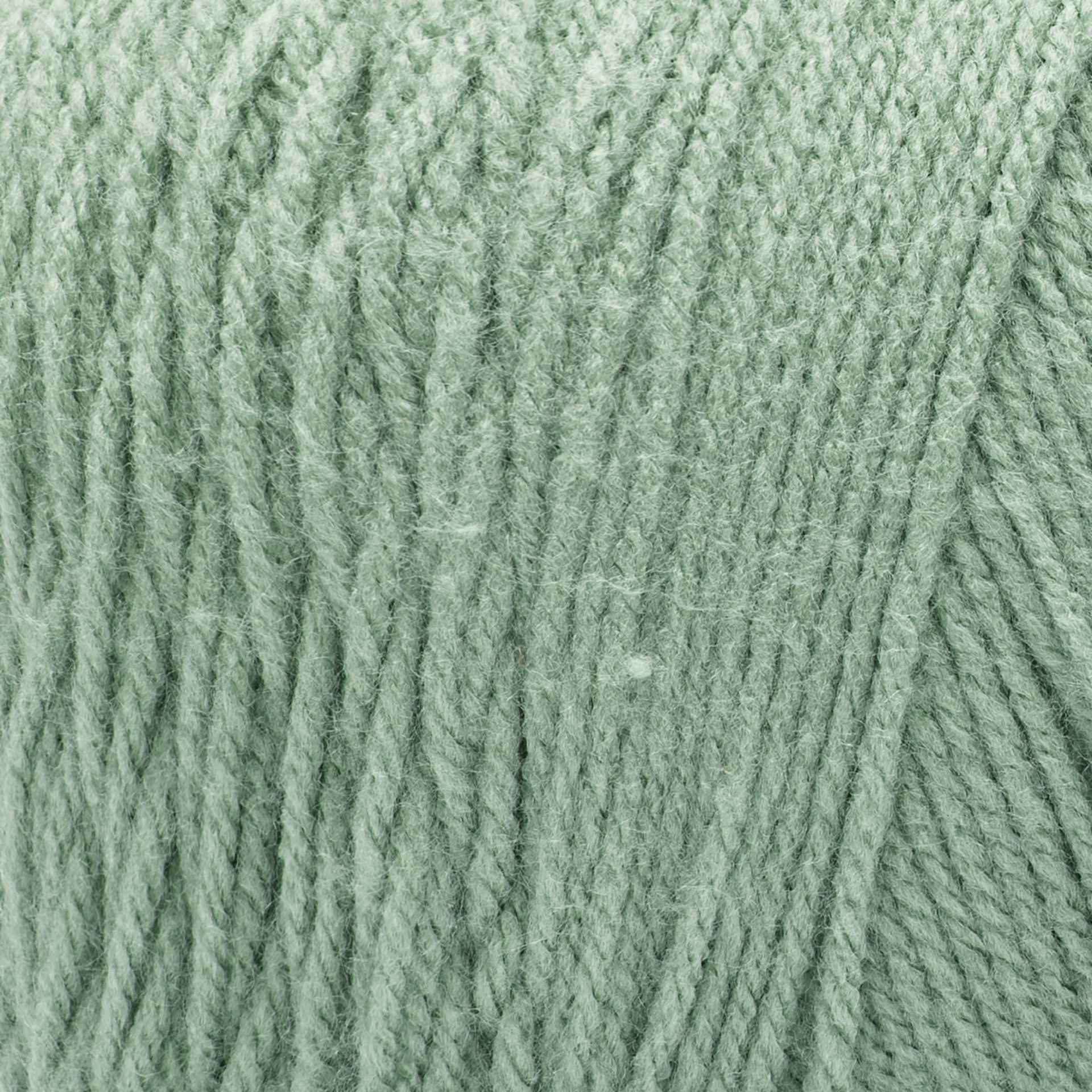 Caron One Pound Acrylic Yarn - Succulent close-up