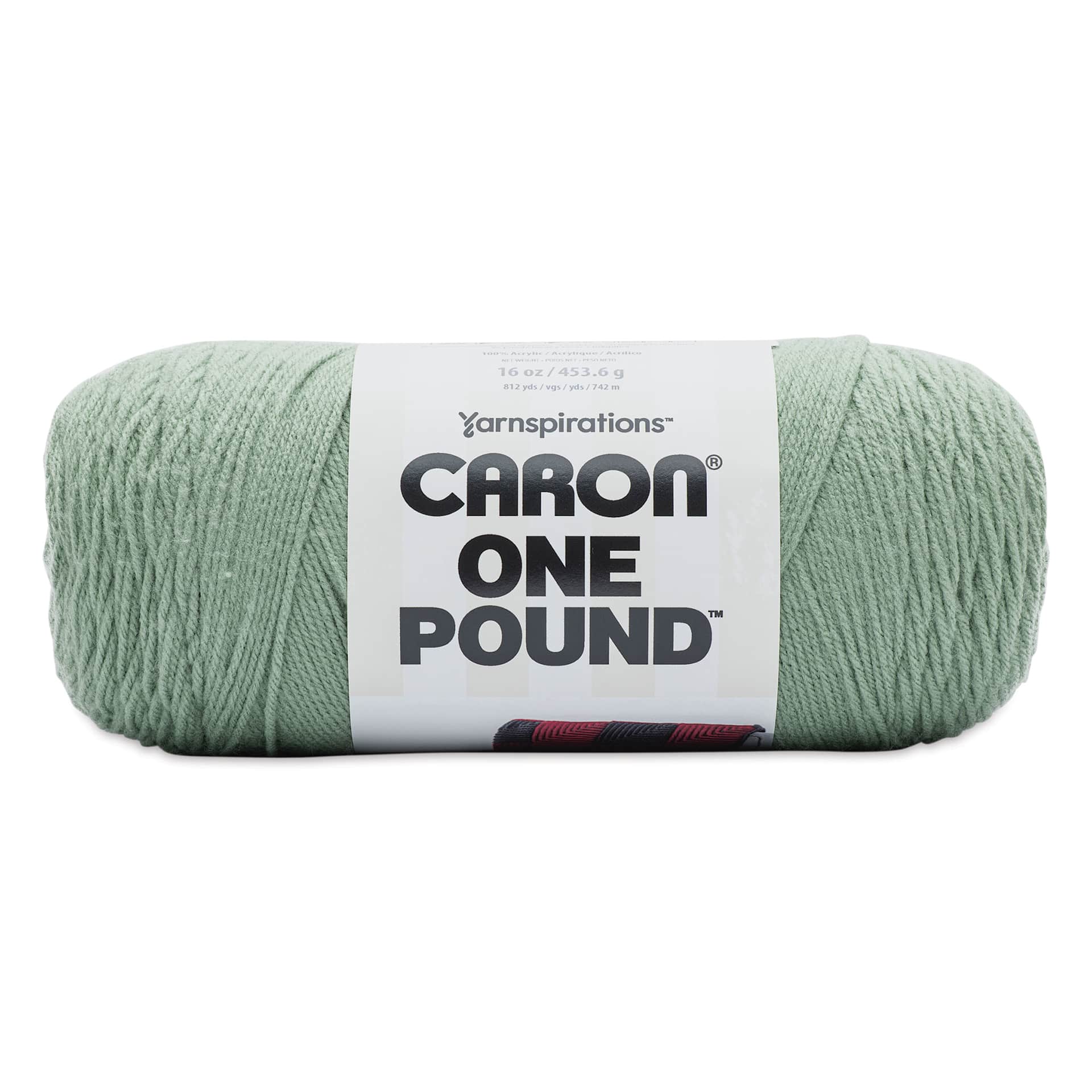 Caron One Pound Acrylic Yarn - 1 lb, 4-Ply, Succulent