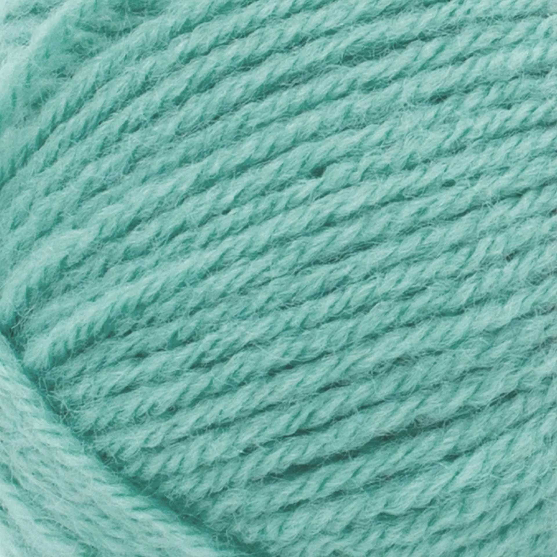 Lion Brand Wool-Ease Yarn - Succulent, close-up